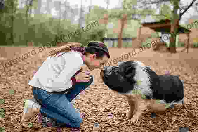 A Close Up Of A Young Woman Holding A Pig In Her Arms. The Final Days Of EMI: Selling The Pig