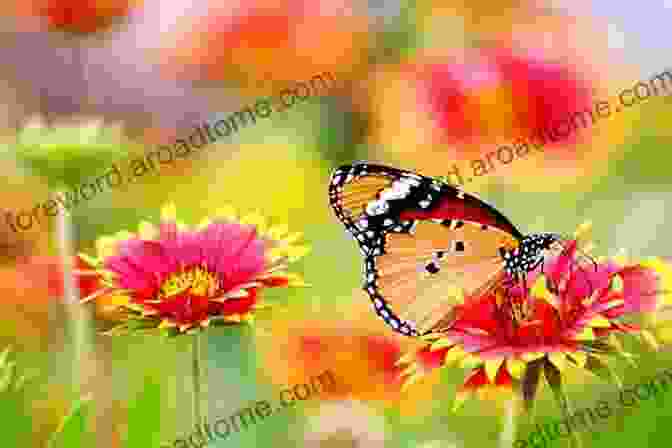 A Colorful Butterfly Perched On A Flower, Surrounded By A Vibrant Garden The Big Kid S Magical Path To Colours In Nature (The Big Kid S Magical Path)