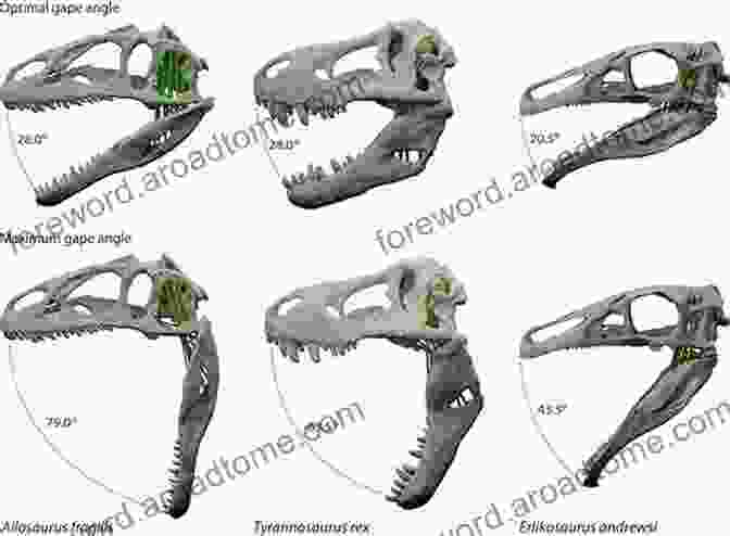 A Dinosaur Skull With Its Jaw Open, Revealing A Thesaurus Dinosaur Discovery (Brush Up On Your Writing Skills): Creative Writing Tutor