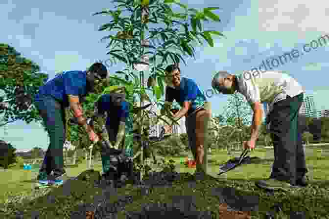 A Group Of People Planting Trees Impossible Compassion: Use The Compassion Key To Un Create Disease Save The Environment Transform Relationships And Do All Sorts Of Other Good Things For Ourselves And Everyone Else