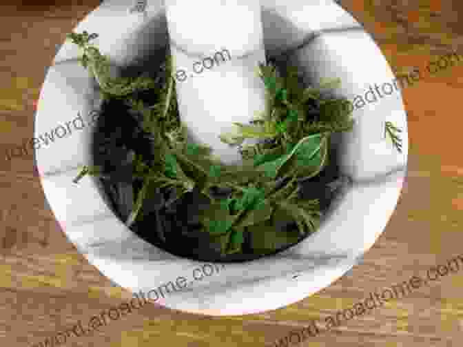 A Herbalist Carefully Measuring And Mixing Herbs To Create A Personalized Remedy The Western Herbal Tradition: 2000 Years Of Medicinal Plant Knowledge