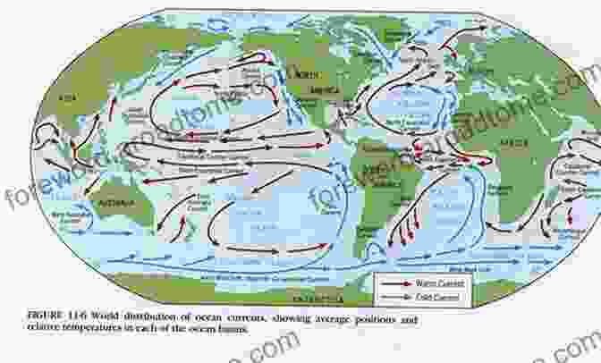 A Map Showing The Circulation Patterns Of Ocean Currents Maps Of The World S Oceans: An Illustrated Children S Atlas To The Seas And All The Creatures And Plants That Live There