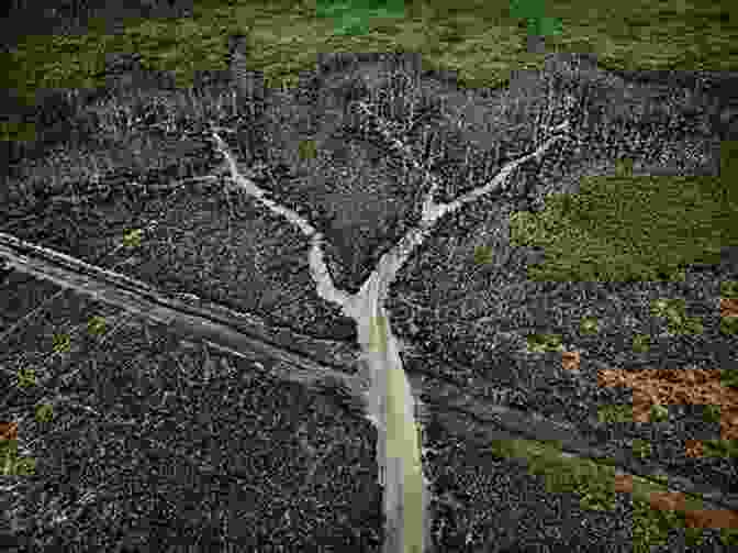 A Photograph Of The Book 'Anthropocene' By Mark Devlin, Showing A Close Up Of A Human Hand Holding A Handful Of Soil. ANPCNE (anthropocene) Mark Devlin