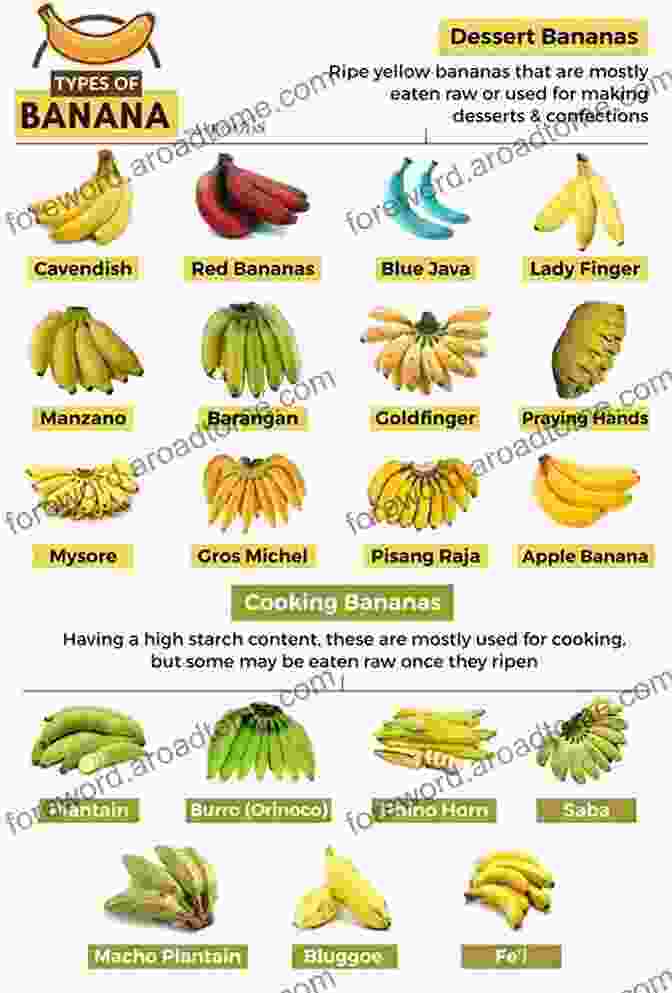 A Refreshing Banana With Its Russian Name, Банан (Banan),And English Translation, Banana My First Russian Fruits Snacks Picture With English Translations: Bilingual Early Learning Easy Teaching Russian For Kids (Teach Learn Basic Russian Words For Children 3)