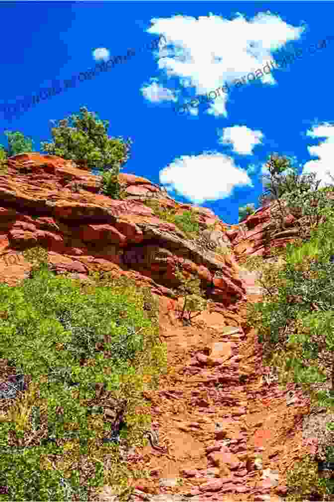 A Winding Trail Lost Amidst Lush Vegetation, Leading To Unknown Destinations And Forgotten Secrets Abandoned: The Most Beautiful And Forgotten Places From Around The World (Travel)