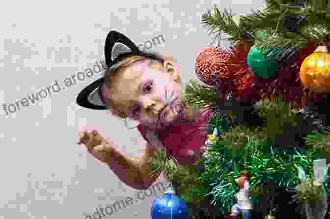 A Young Girl Peeking Out From Behind A Christmas Tree Santa Claus (Images Of America)