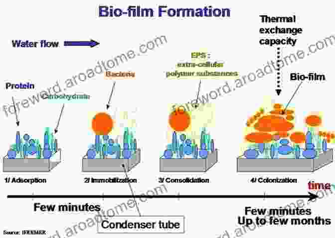 Antifouling Coating On A Biomedical Implant Preventing Bacterial Biofilm Formation Antifouling Surfaces And Materials: From Land To Marine Environment