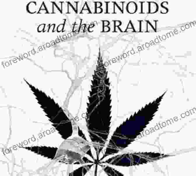 Book Cover Of Cannabinoids And The Brain By Elizabeth Creamer Cannabinoids And The Brain Elizabeth G Creamer