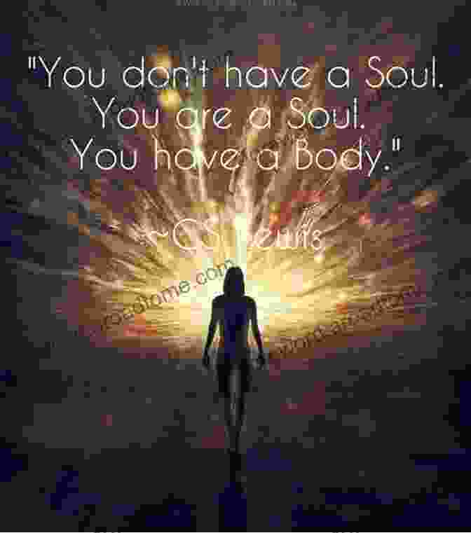 Book Cover Of 'You Don't Have A Soul, You Are Soul' By Dr. Michael Harner Secrets Of The Soul: You Don T Have A Soul You Are A Soul