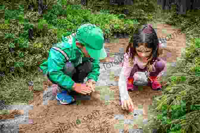 Children Exploring A Forest And Discovering The Colors Of Nature The Big Kid S Magical Path To Colours In Nature (The Big Kid S Magical Path)