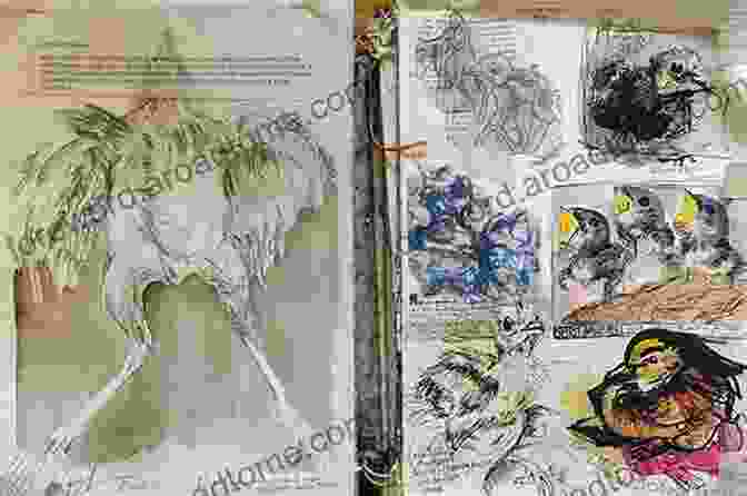 Collection Of Sketches And Studies Sketches For No One To See: A Collection Of Sketches And Studies