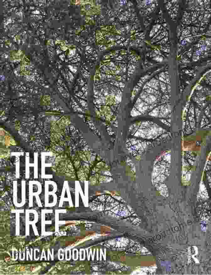 Cover Of 'The Urban Tree' By Duncan Goodwin, Featuring A Photograph Of A Lush Tree Canopy Above City Buildings The Urban Tree Duncan Goodwin