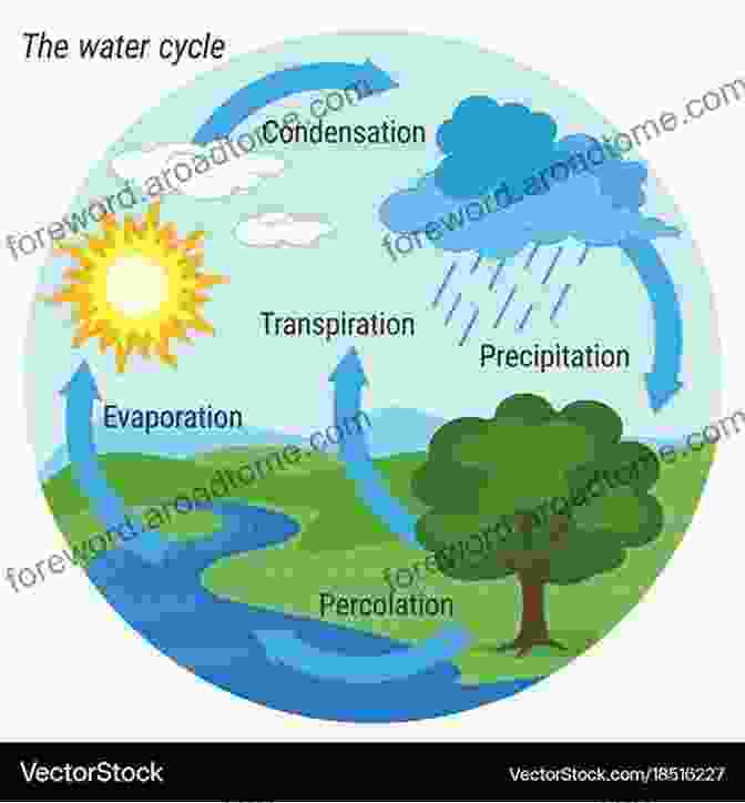 Diagram Illustrating The Water Cycle, Depicting The Movement Of Water Between The Atmosphere, Land, And Oceans. Global Environment: Water Air And Geochemical Cycles Second Edition