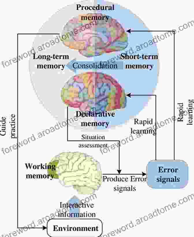 Diagram Of Brain Activity During Cognitive Processes Cerebrum 2009: Emerging Ideas In Brain Science Foreword By Thomas R Insel M D