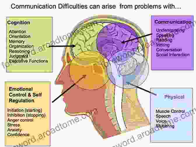 Diagram Of Brain Regions Involved In Emotional Processing Cerebrum 2009: Emerging Ideas In Brain Science Foreword By Thomas R Insel M D