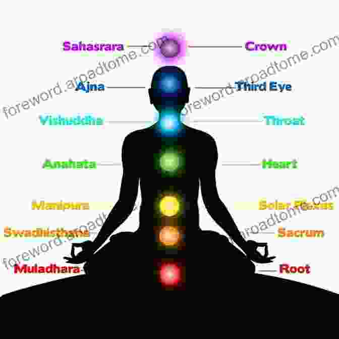 Diagram Of The Human Body With Chakras Highlighted Chakras: Open Your Root Chakra Sacral Chakra And Other Blocked Chakras