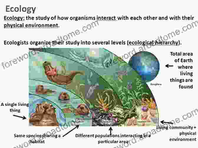 Ecology Diagram Showing The Interactions Between Organisms And Their Environment Avian Malaria And Related Parasites In The Tropics: Ecology Evolution And Systematics