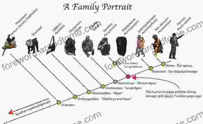 Evolution Diagram Showing The Branching Of Species Over Time Avian Malaria And Related Parasites In The Tropics: Ecology Evolution And Systematics