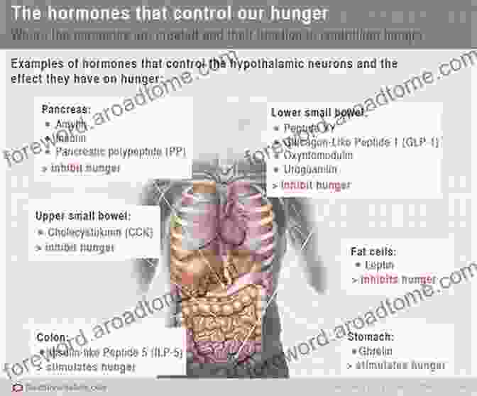 Hormones Are Chemical Messengers That Regulate Various Bodily Functions And Influence Our Overall Health And Well Being. Our Hormones Our Health: How To Understand Your Hormones And Transform Your Life