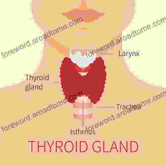 Image Of The Thyroid Gland Essential Endocrine Revision For Medical Students Residents And Other Healthcare Professionals: Volume I: Adrenal Glands Thyroid Gland And Pituitary Gland Hypothalamus (Elite Medical Revision)