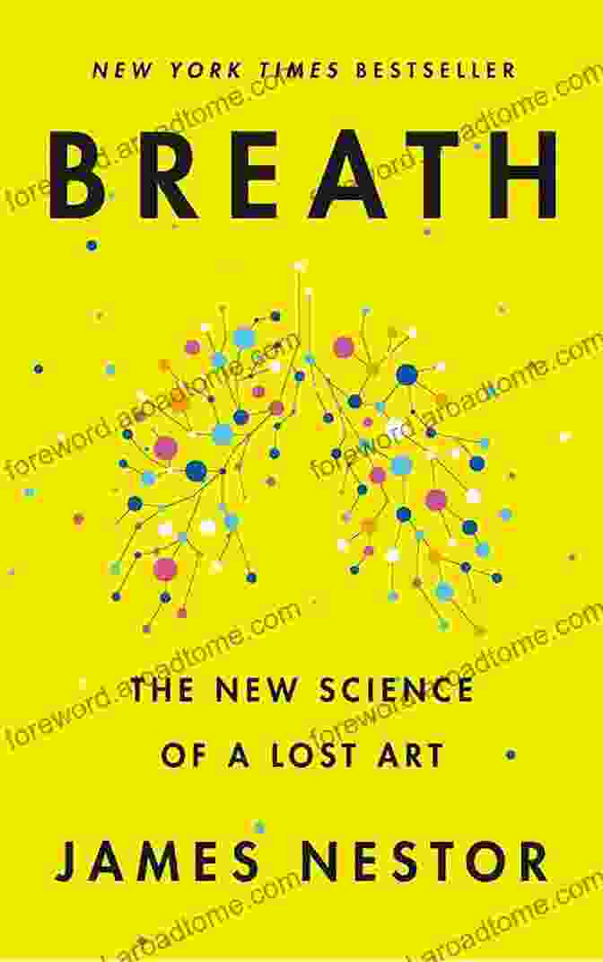 More Than Body, Brain, And Breath Book Cover A Guide To The Spiritual Dimension Of Care For People With Alzheimer S Disease And Related Dementia: More Than Body Brain And Breath