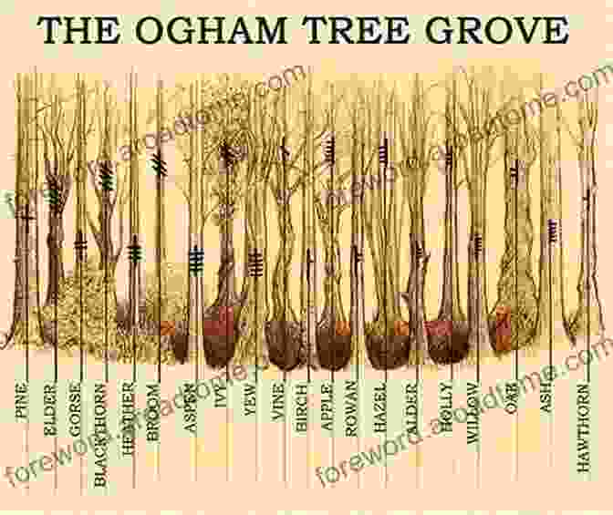 Ogham Symbols Woven Into The Forest Landscape The Of Ogham Michael Kelly