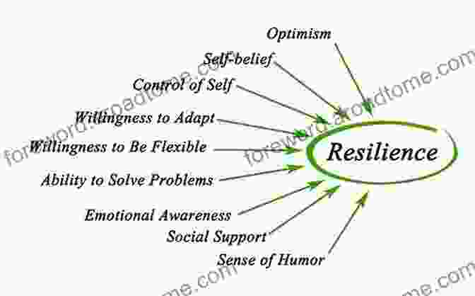 Resilience Skills Include Self Awareness, Cognitive Flexibility, Emotional Regulation, And Meaning And Purpose. Resilience (HBR Emotional Intelligence Series)