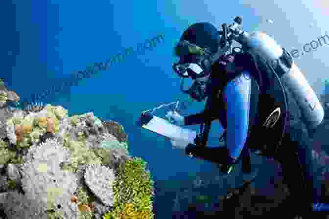 Scientist Monitoring Coral Health Amidst Vibrant Reef. The World Of Coral Reefs: Explore And Protect The Natural Wonders Of The Sea