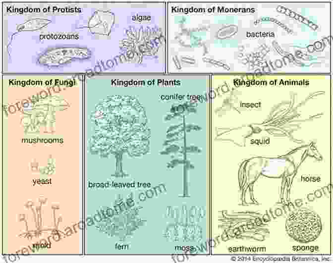 Systematics Diagram Showing The Classification Of Organisms Into Different Groups Avian Malaria And Related Parasites In The Tropics: Ecology Evolution And Systematics