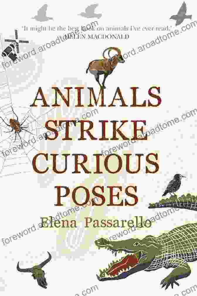 The Cover Of Animals Strike Curious Poses By Elena Passarello, Showing A Photograph Of A Bird In Mid Flight Animals Strike Curious Poses Elena Passarello