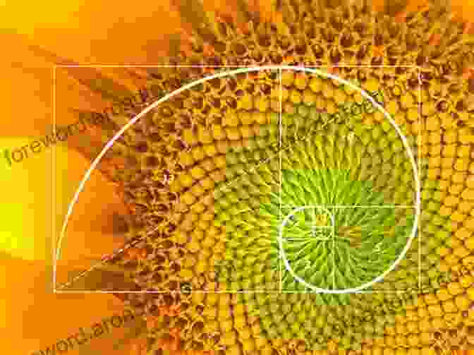 The Fibonacci Sequence And Golden Ratio In Nature It S A Numberful World: How Math Is Hiding Everywhere