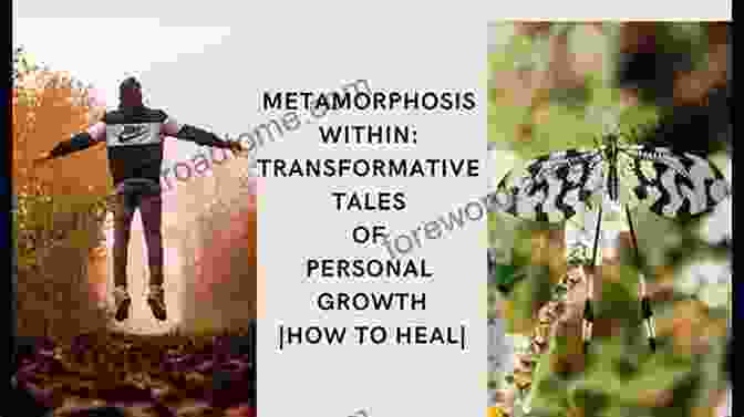 The Metamorphosis Of Butterfly: A Transformative Tale Of Beauty, Perseverance, And Growth The Metamorphosis Of A Butterfly: A Journey Of Rebirth Hope And Transformation