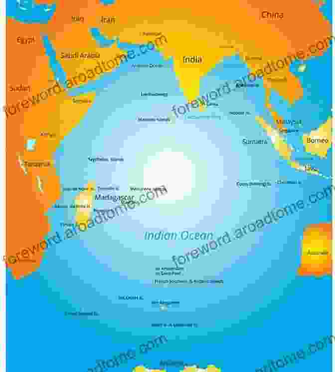 The Modern Indian Ocean: Challenges And Opportunities The Indian Ocean In World History (New Oxford World History)