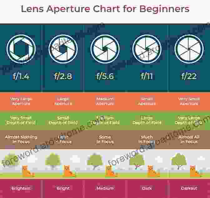 Understanding Camera Settings Is Crucial For Capturing Stunning Images The Photo Student Handbook: Essential Advice On Learning Photography And Launching Your Career Path