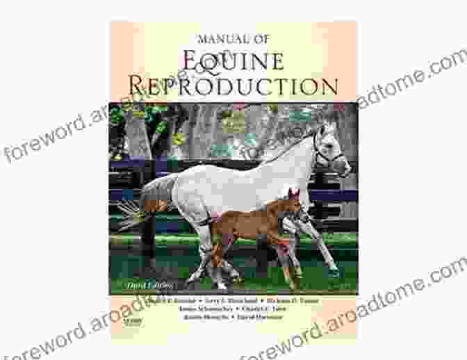 Veterinary Guide To Horse Breeding Comprehensive Equine Reproduction Textbook Veterinary Guide To Horse Breeding