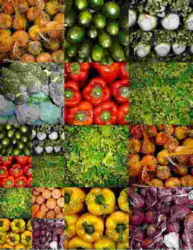 Vibrant Photo Collage Of Russian Vegetables And Spices My First Russian Vegetables Spices Picture With English Translations: Bilingual Early Learning Easy Teaching Russian For Kids (Teach Learn Basic Russian Words For Children 4)