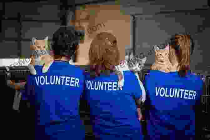 Volunteers Work Together To Clean Animal Cages, Demonstrating Their Compassionate Commitment To Animal Welfare. The Animal Rescue Agency #2: Case File: Pangolin Pop Star