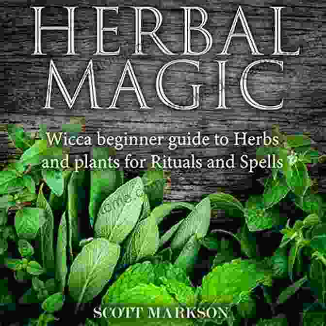 Wicca For Beginners And Herbal Magic Guide Book Cover Wicca: 2 In 1: WICCA FOR BEGINNERS And HERBAL MAGIC A Guide To Understanding The Basics Of Wicca And The Properties Of Herbs Crystals And Essential Start Practicing Witchcraft And Spells