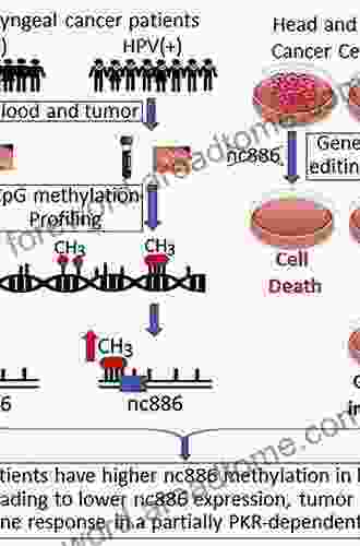 Acne And Rosacea: Epidemiology Diagnosis And Treatment