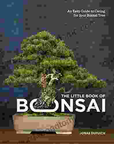 The Little of Bonsai: An Easy Guide to Caring for Your Bonsai Tree