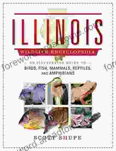 The Illinois Wildlife Encyclopedia: An Illustrated Guide to Birds Fish Mammals Reptiles and Amphibians