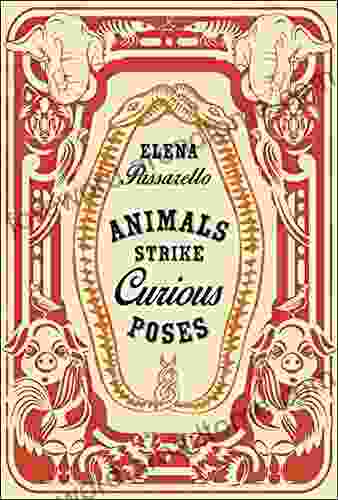 Animals Strike Curious Poses Elena Passarello