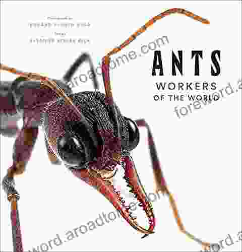 Ants: Workers Of The World