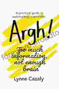 Argh Too Much Information Not Enough Brain: A Practical Guide To Outsmarting Overwhelm