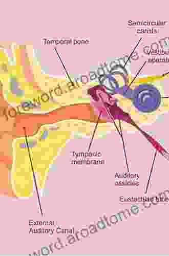 Eustachian Tube And Middle Ear Diseases