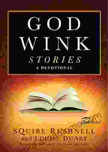 Godwink Stories: A Devotional (The Godwink 3)