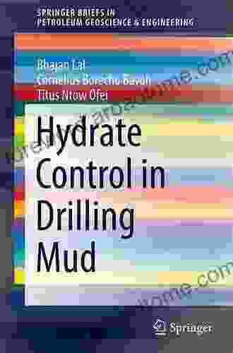 Hydrate Control in Drilling Mud (SpringerBriefs in Petroleum Geoscience Engineering)