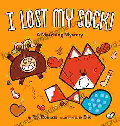 I Lost My Sock : A Matching Mystery