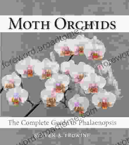 Moth Orchids: The Complete Guide to Phalaenopsis