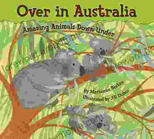 Over In Australia: Amazing Animals Down Under